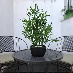  Apartamento Monoambiente Calido, Luminoso, Con Cochera!!!!